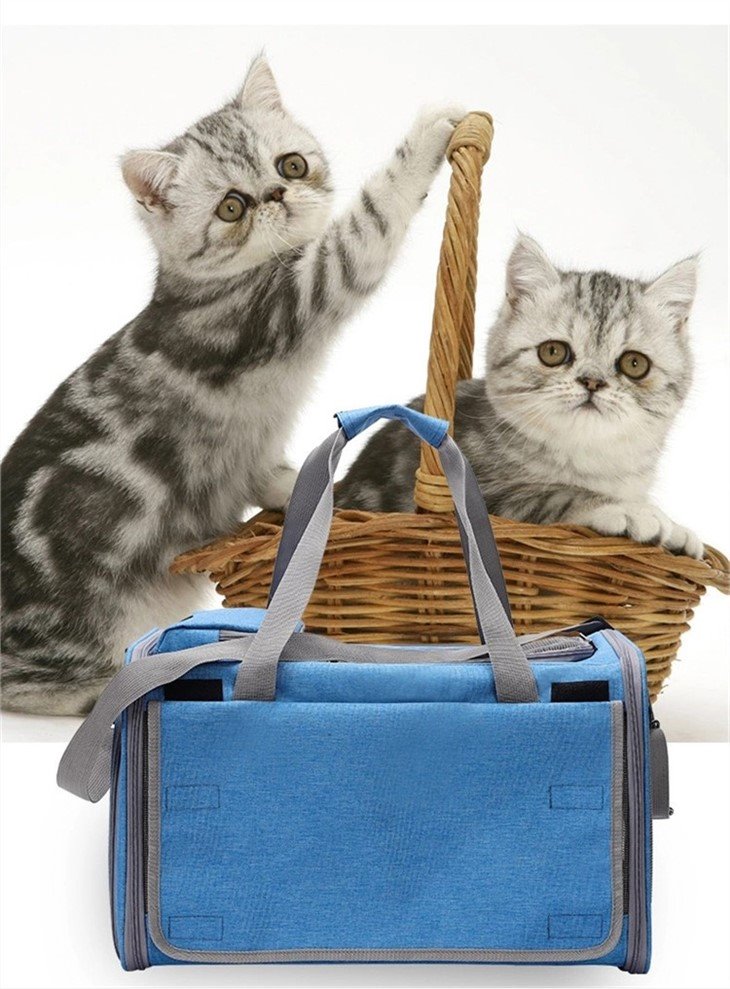 Dog Bag Holder with handle