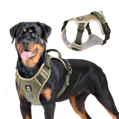 Pet Yok Nefes alabilen örgü yastıklı yansıtıcı ile köpek koşum takımı